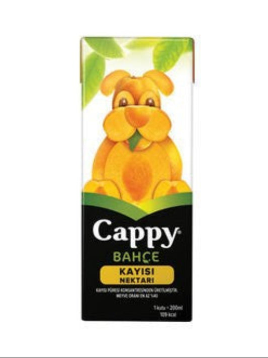 Cappy Kayısı 200ml